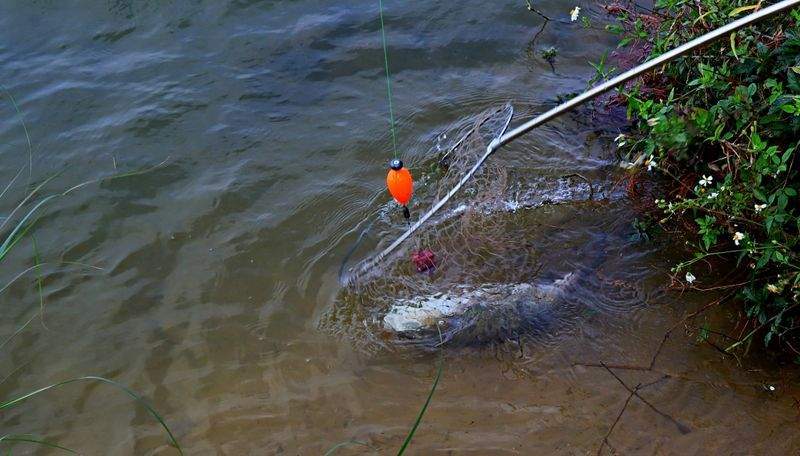 趣味を通じて友達を作ろう